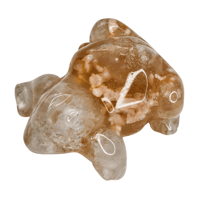 Flower Agate Frog