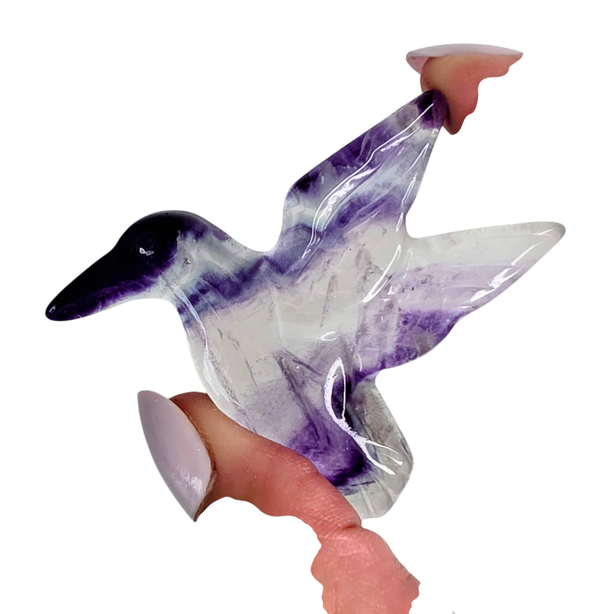 Fluorite Hummingbird
