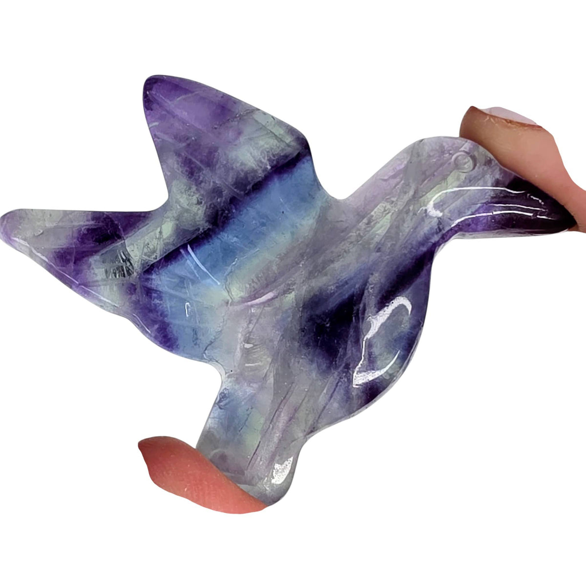 Fluorite Hummingbird