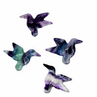 Fluorite Hummingbird