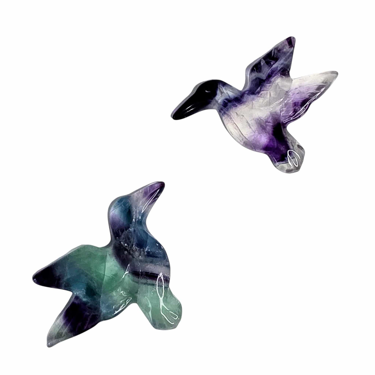 Fluorite Hummingbird