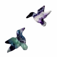 Fluorite Hummingbird