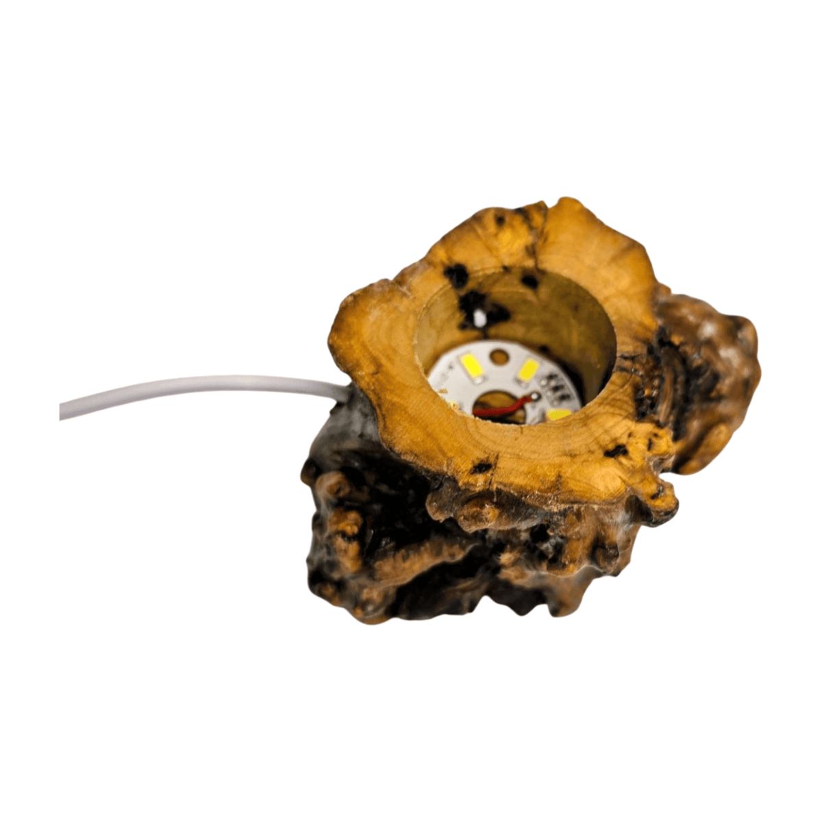 Candy Fluorite Rose with Lamp