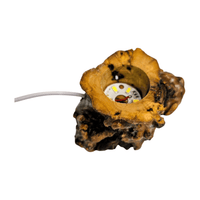 Candy Fluorite Rose with Lamp