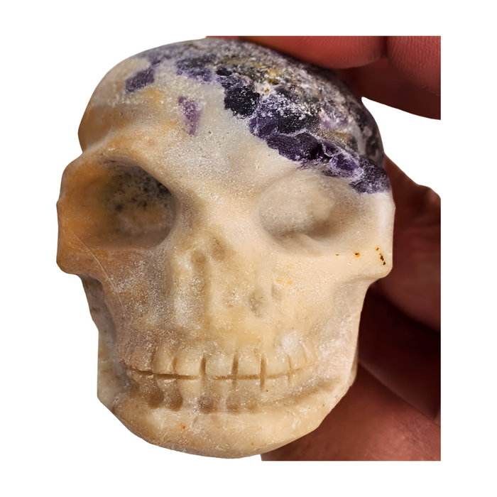 Fluorite Skull Medium  - Matte Finish