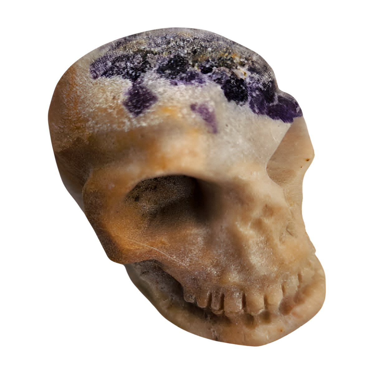 Fluorite Skull Medium  - Matte Finish