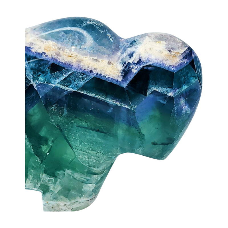 Fluorite Buffalo - Extra Large