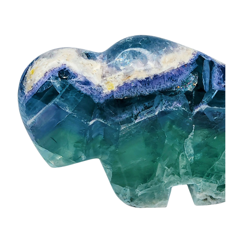 Fluorite Buffalo - Extra Large