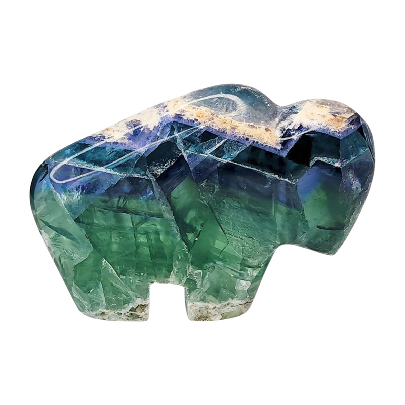 Fluorite Buffalo - Extra Large