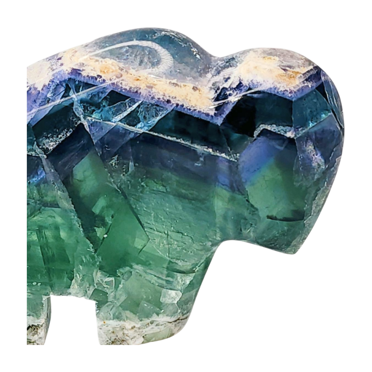 Fluorite Buffalo - Extra Large