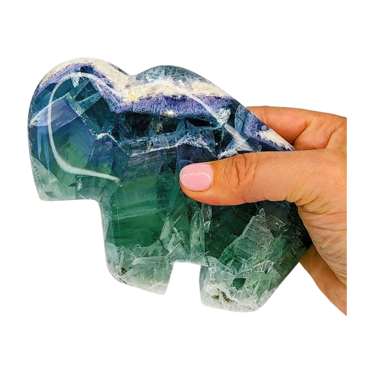 Fluorite Buffalo - Extra Large