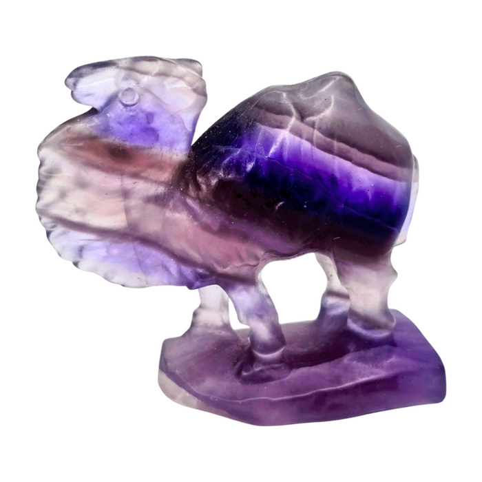 Purple Fluorite Camel