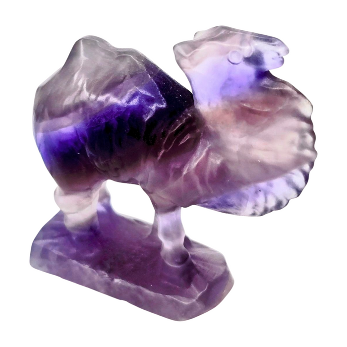 Purple Fluorite Camel