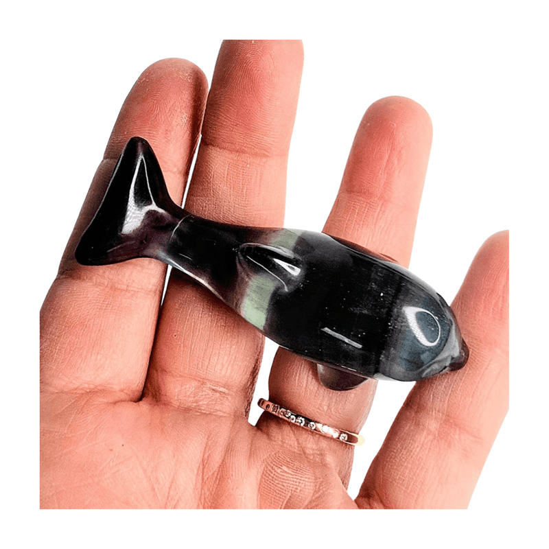Candy Fluorite Dolphin