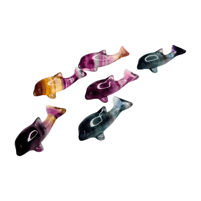 Candy Fluorite Dolphin