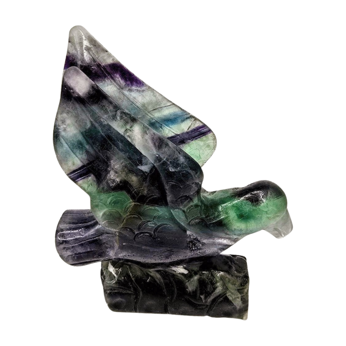 Fluorite Hummingbird