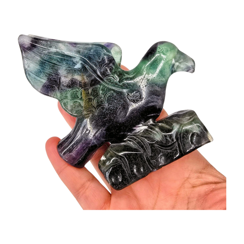 Fluorite Hummingbird