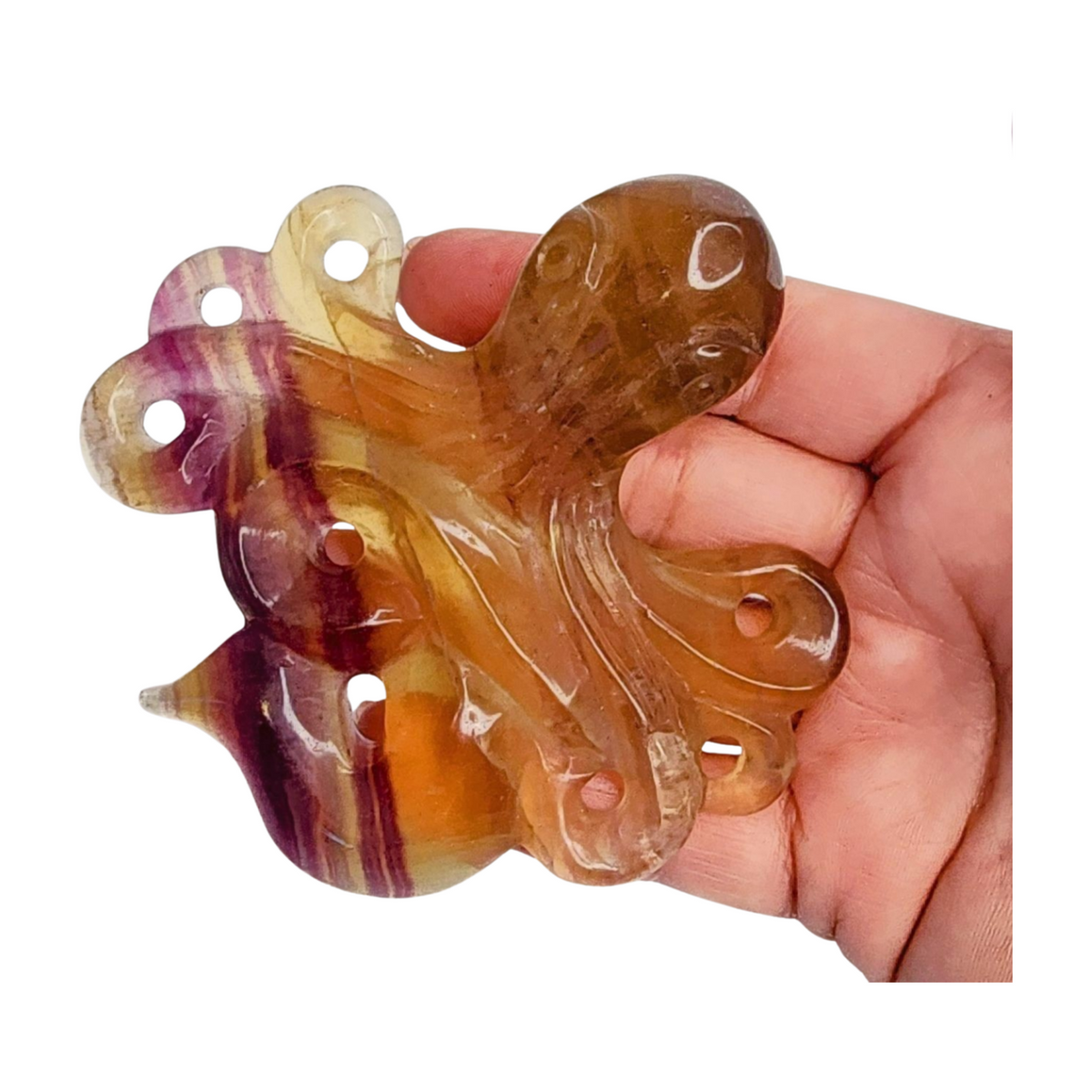 Fluorite Octopus