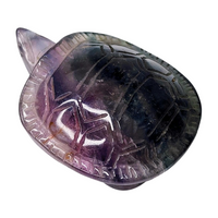 Fluorite Turtle