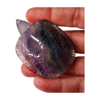 Fluorite Turtle