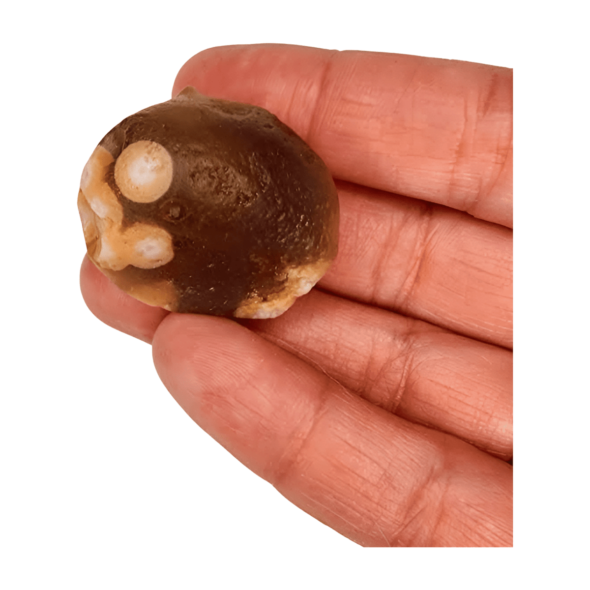 Gobi Desert Jasper Palm Stone