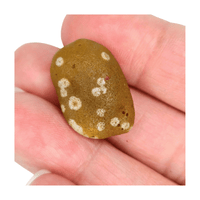 Gobi Desert Jasper Tumble