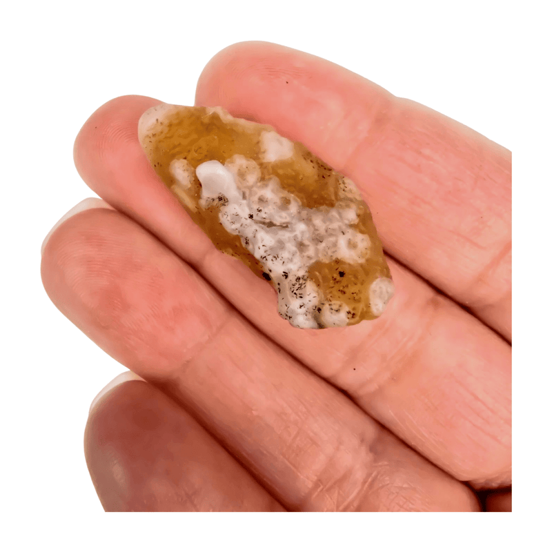 Gobi Desert Jasper Tumble