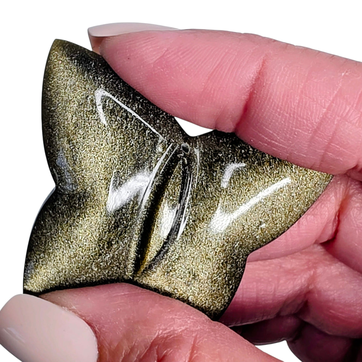 Gold Sheen Obsidian Butterfly