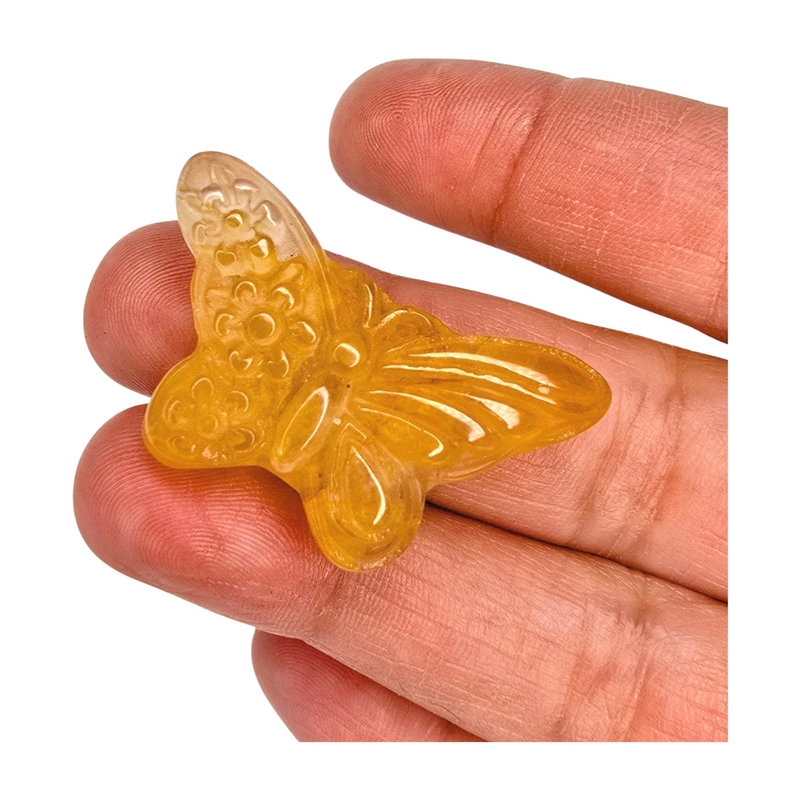 Golden Healer Butterfly - Extra Small