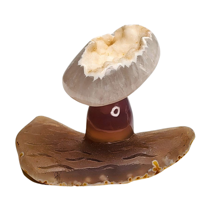 Agate Druzy Mushroom