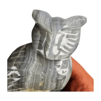 Gray Calcite Owl
