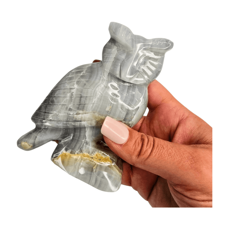 Gray Calcite Owl