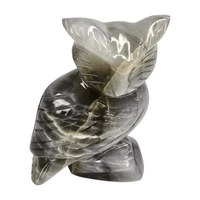 Gray Calcite Owl