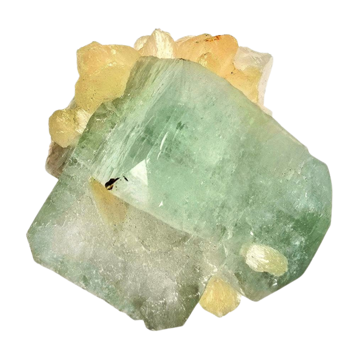 Green Apophyllite Specimen - Medium