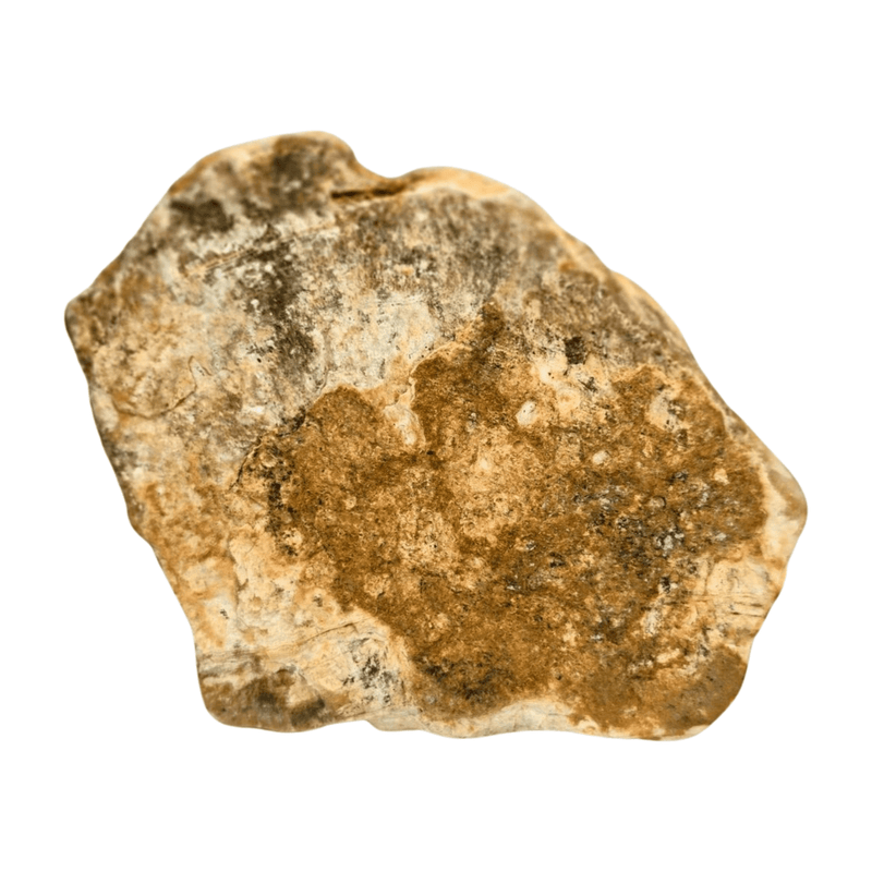 Honey Calcite Polished Slice