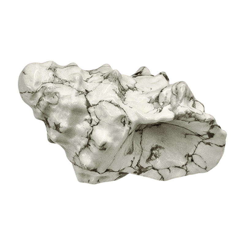 Howlite Spiky Shell