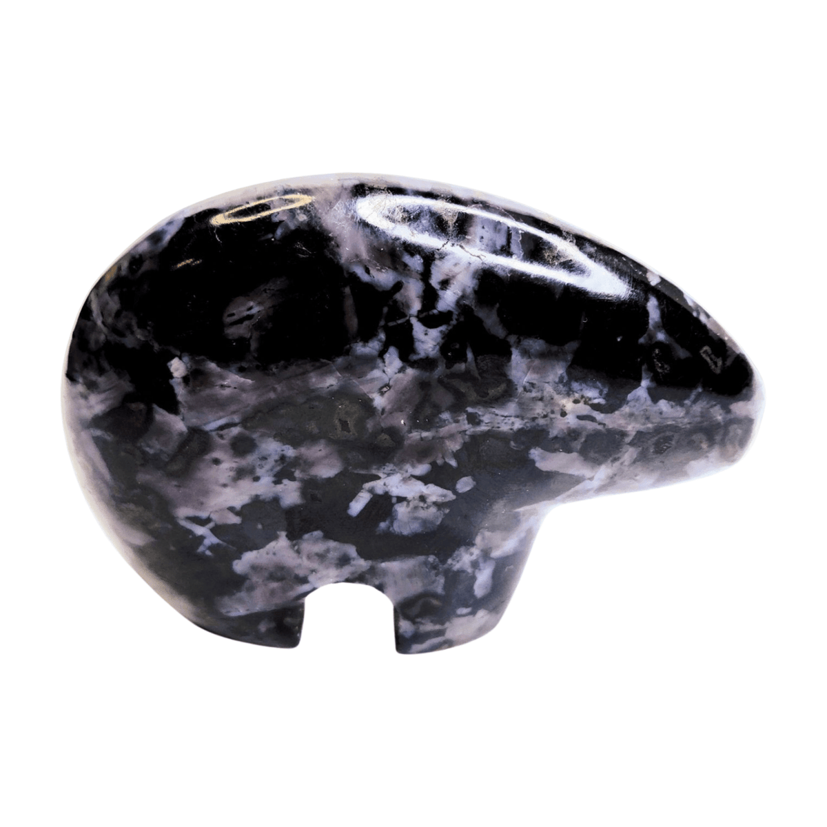 Indigo Gabbro Bear (Zuni)