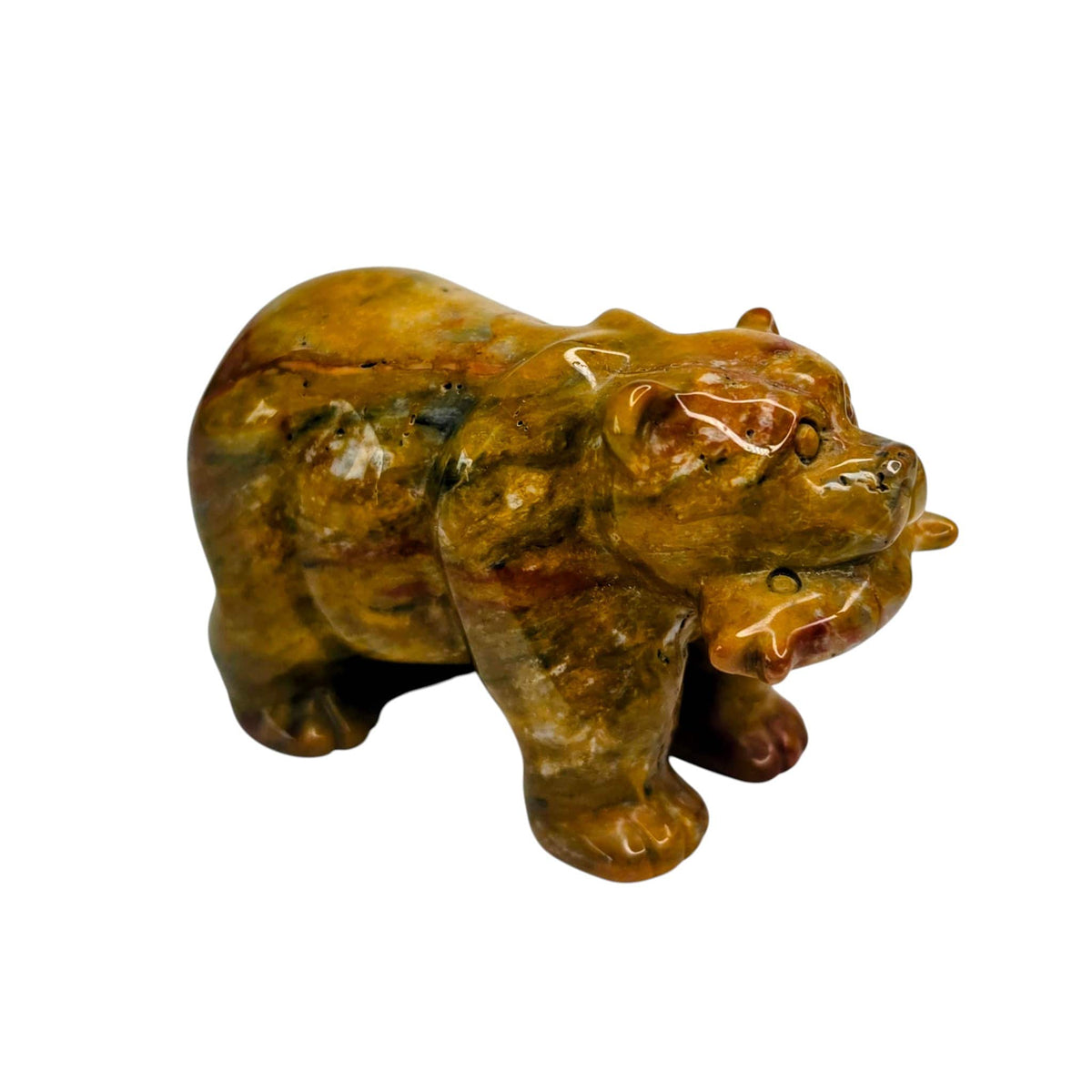 Jasper Bear with Fish