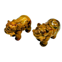 Jasper Bear with Fish