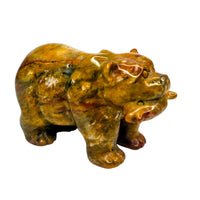 Jasper Bear with Fish