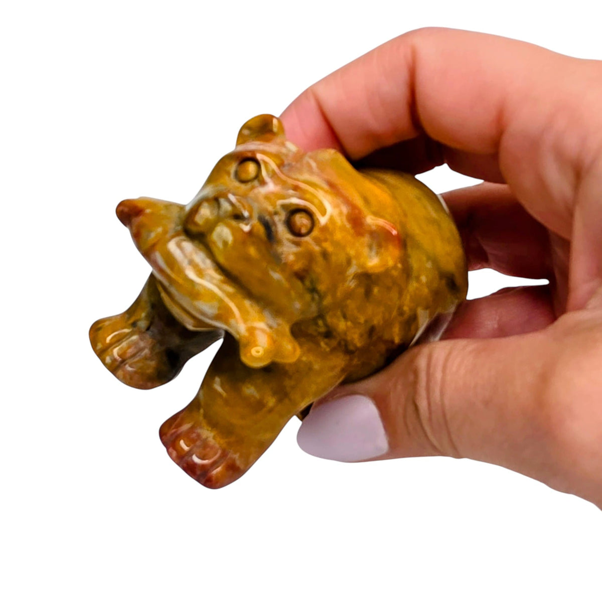 Jasper Bear with Fish