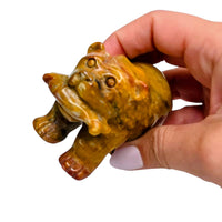 Jasper Bear with Fish