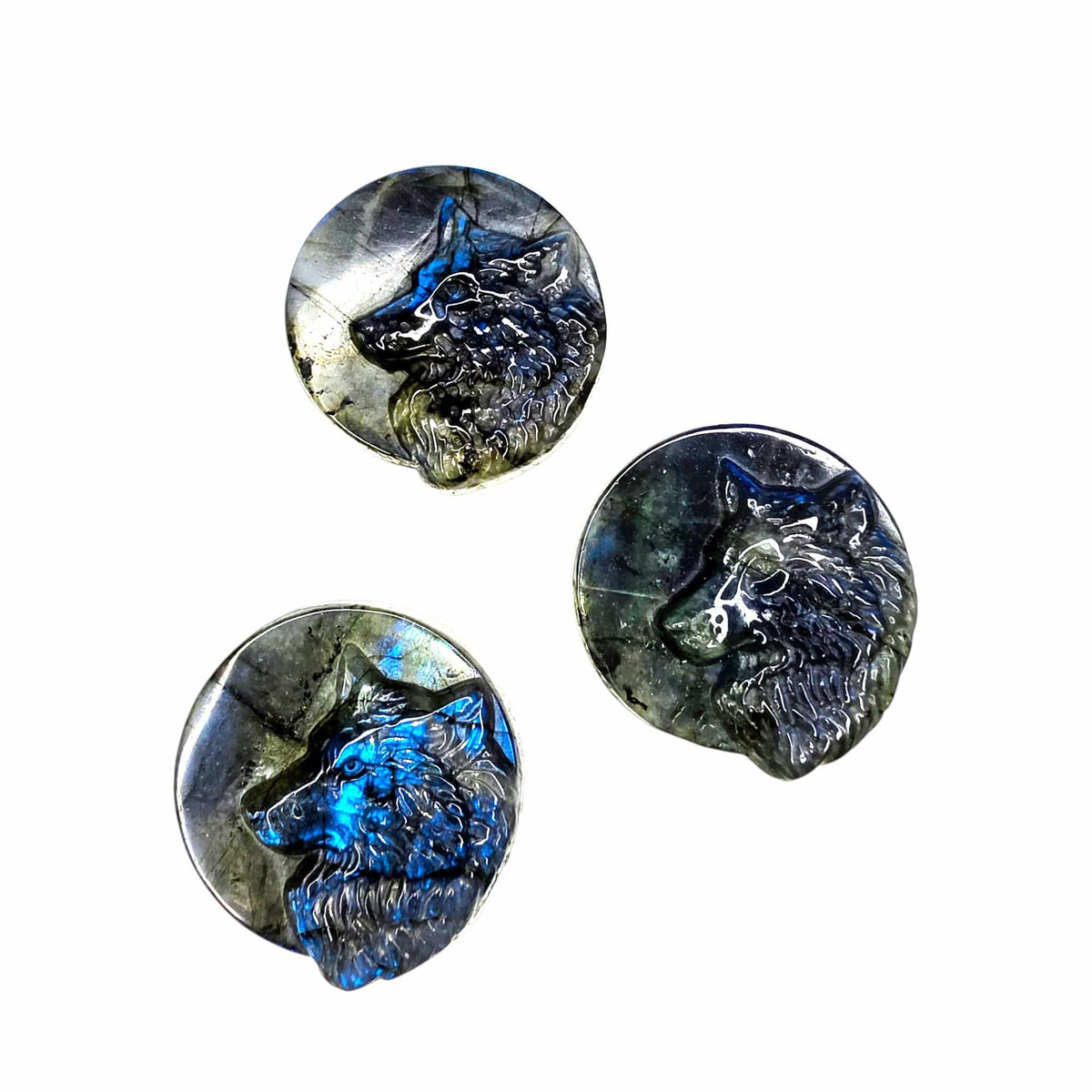 Labradorite Wolf