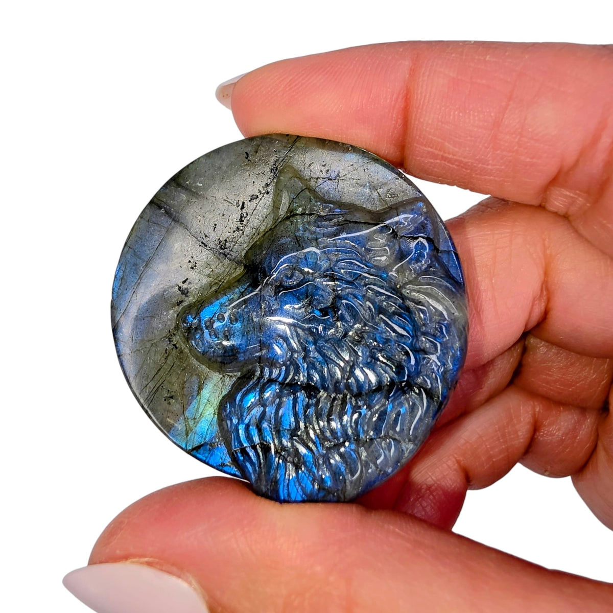 Labradorite Wolf