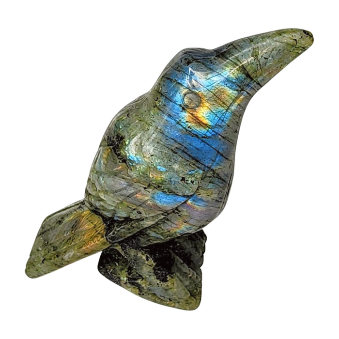 Labradorite Raven