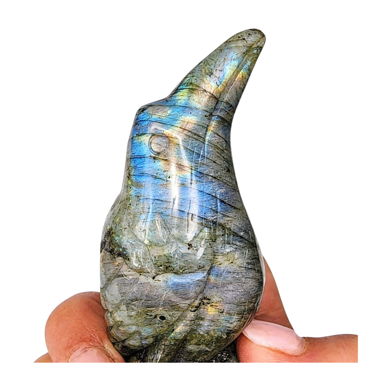 Labradorite Raven