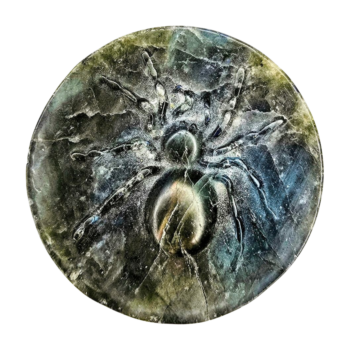 Labradorite Spider