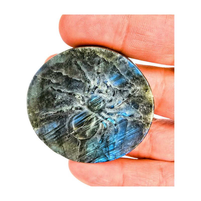 Labradorite Spider