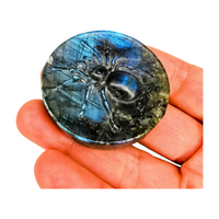 Labradorite Spider