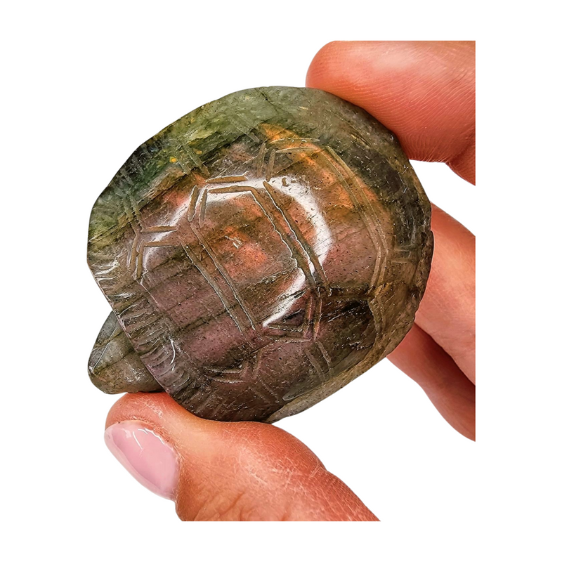 Labradorite Turtle